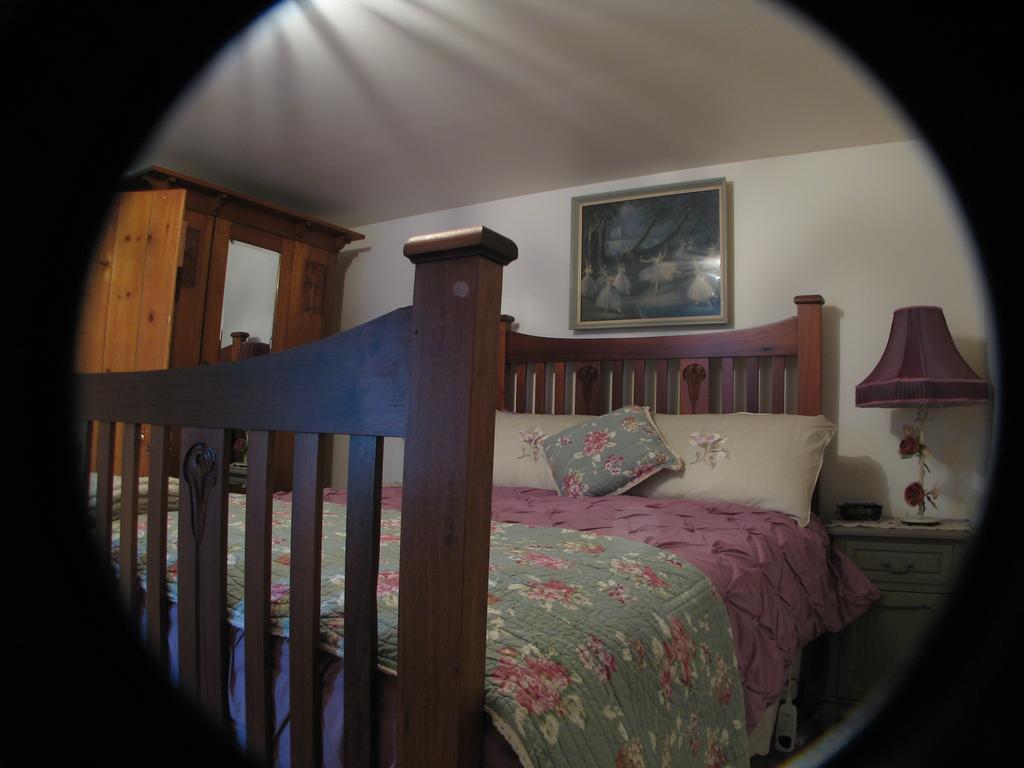 Ellie'S Place On City Park لونسيستون الغرفة الصورة